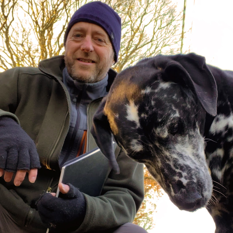 Andrew Barrowman Art Logo