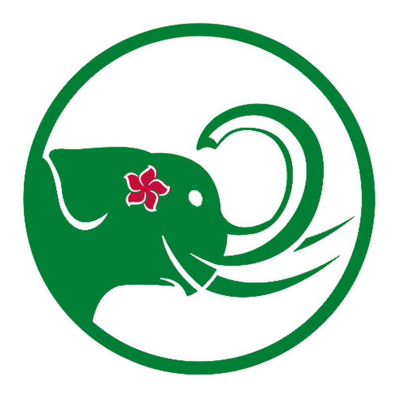 Channel Avatar