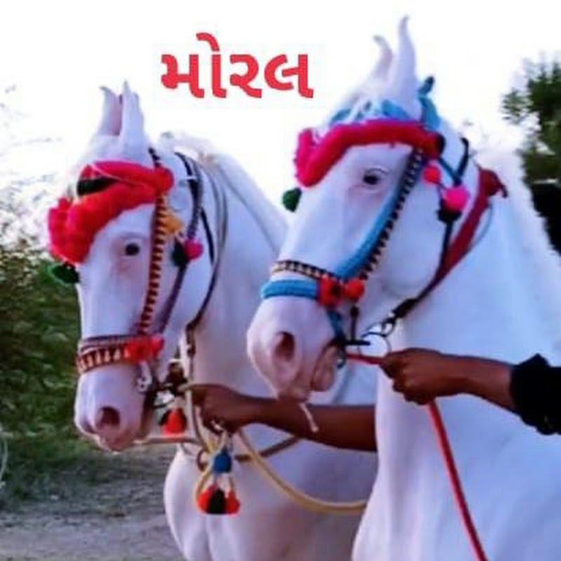 Moral ashv farm Lavarda