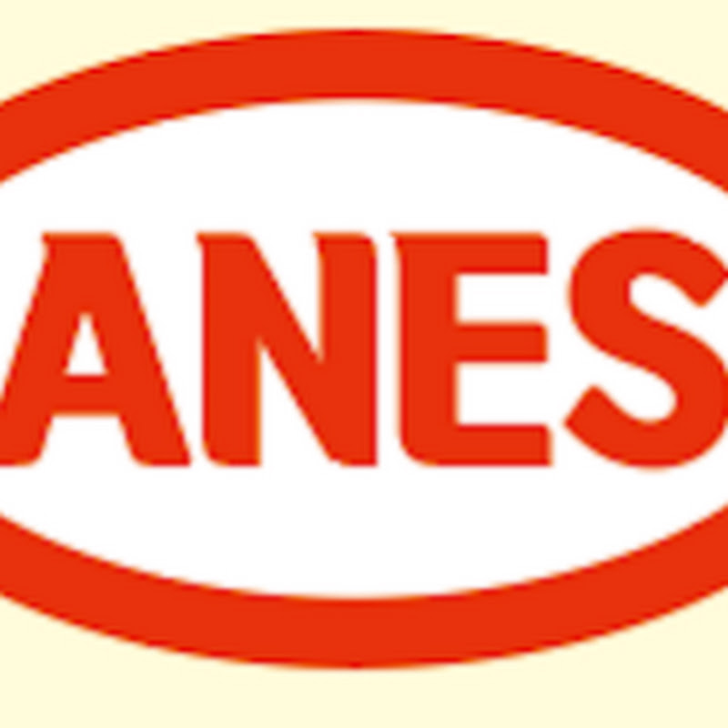 안예스anes