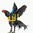 gkB76iCmbw4-channel-avatar-طيور احمد بدوى