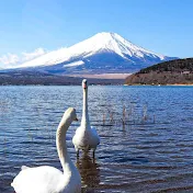 Japanvibes