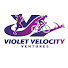 OP2T6JXuG6s-channel-avatar-Violet Velocity Ventures