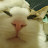 @catkeeper-