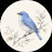 @Quiet_corner2