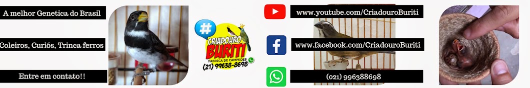 Criadouro Buriti YouTube channel avatar