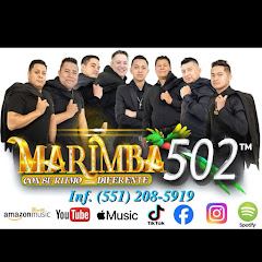 Marimba 502 Oficial