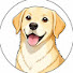 w6KXUV19te0-channel-avatar-Canine Psychology