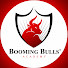 IOBoaM71MUA-channel-avatar-Booming Bulls