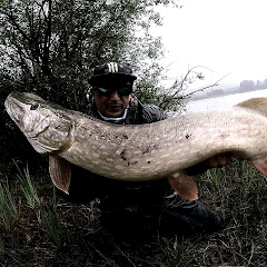 pesca de lucio