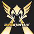 gfsYAU5Euvk-channel-avatar-GregHawk.50