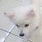 @대박맘-p9b