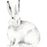 paXQsq7U528-channel-avatar-Meat Rabbits