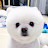 @Moongchy888