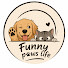 mQp0ZDLZLxI-channel-avatar-Funny Paws Life