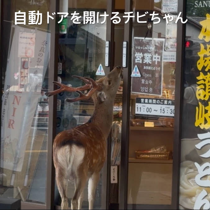 【ちゃんねるカワランド】カワモト文明 YouTube