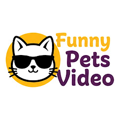 Funny Pets Video