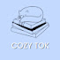 4qln7C7SutU-channel-avatar-cozy tok