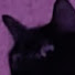 fjum00vPsMg-channel-avatar-Peepumms