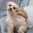 @낭만고양이46