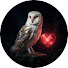 uFAHxVsm8oI-channel-avatar-Voix de l'Amour