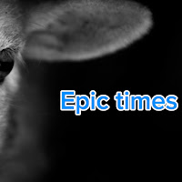 Poll from Epic Times e