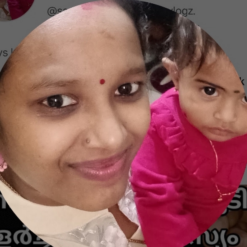 Saranya's Dream Catcher Vlogz