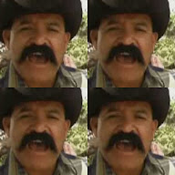 thumbnail img1x1