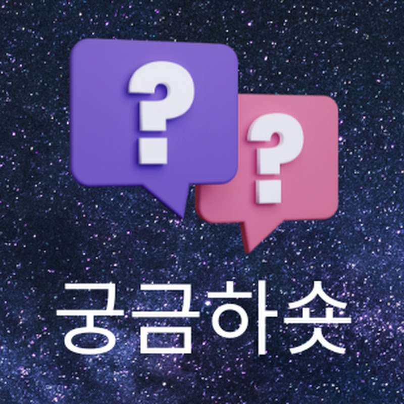 궁금하숏