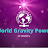 World Gravity Power