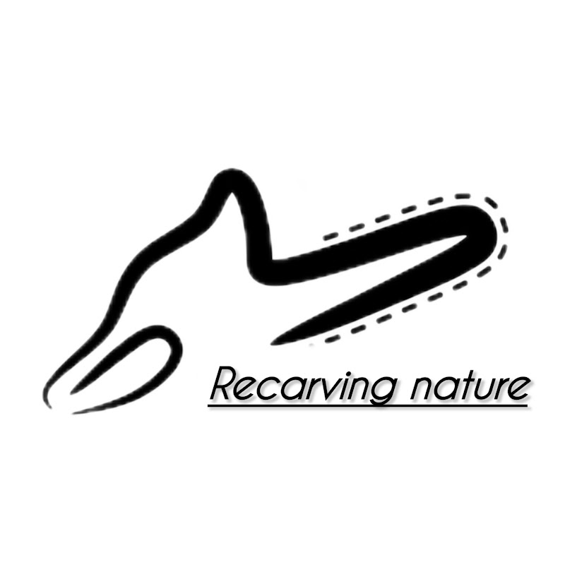 Recarving nature