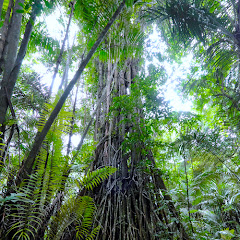 Euhedral 純正律音楽