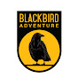 Blackbird Adventure