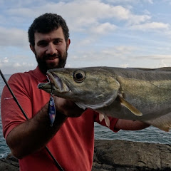 TideLine Fishing