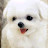 @진태-y9b