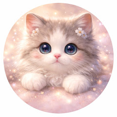 Soft Chaos Cat