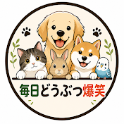 毎日どうぶつ爆笑