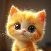 Magic kitten