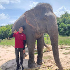 Kulen Elephant Family