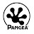 Pangea Reptile