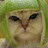 @skudlugs Avatar