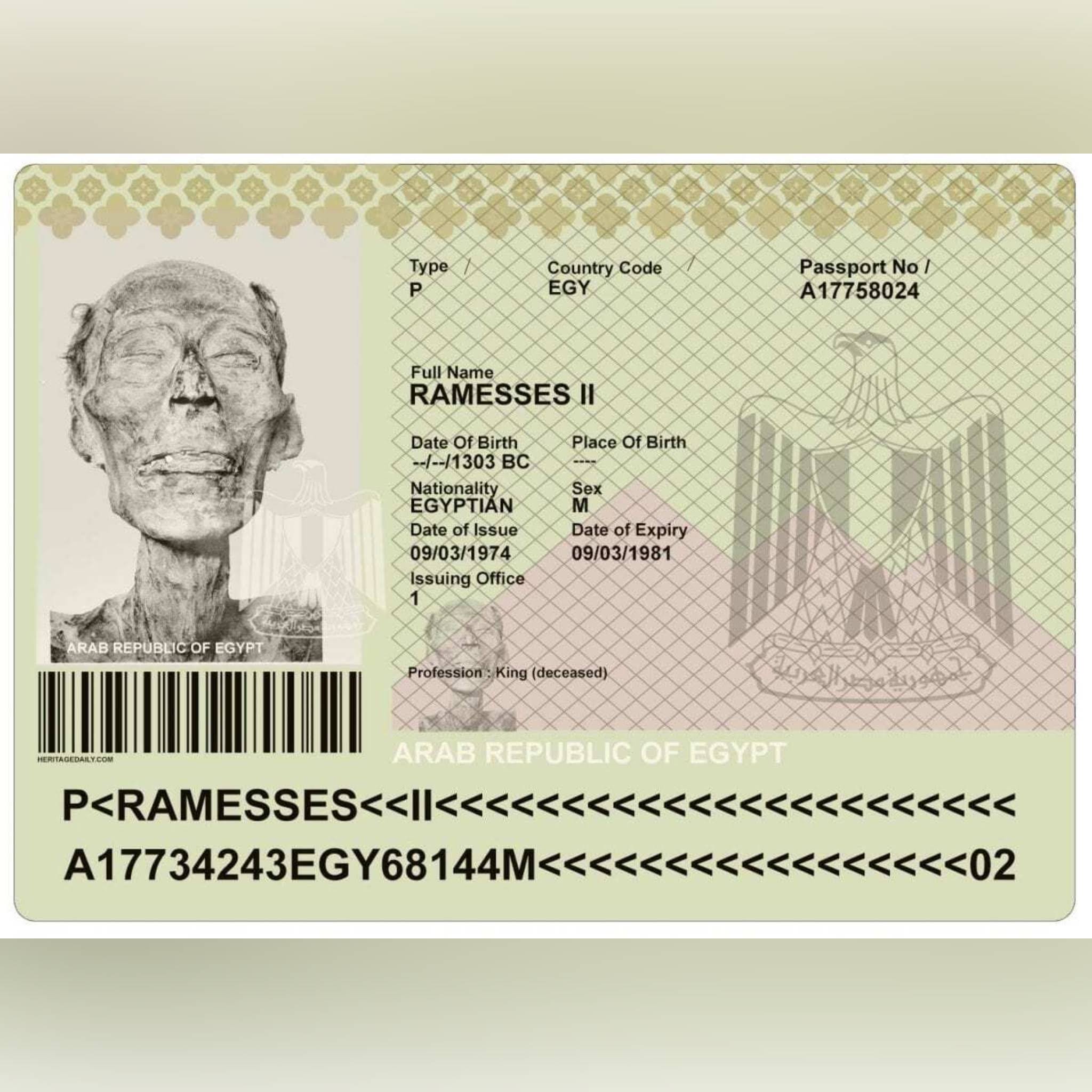 what nationality is egypt sherrod - Ilustrasi 2