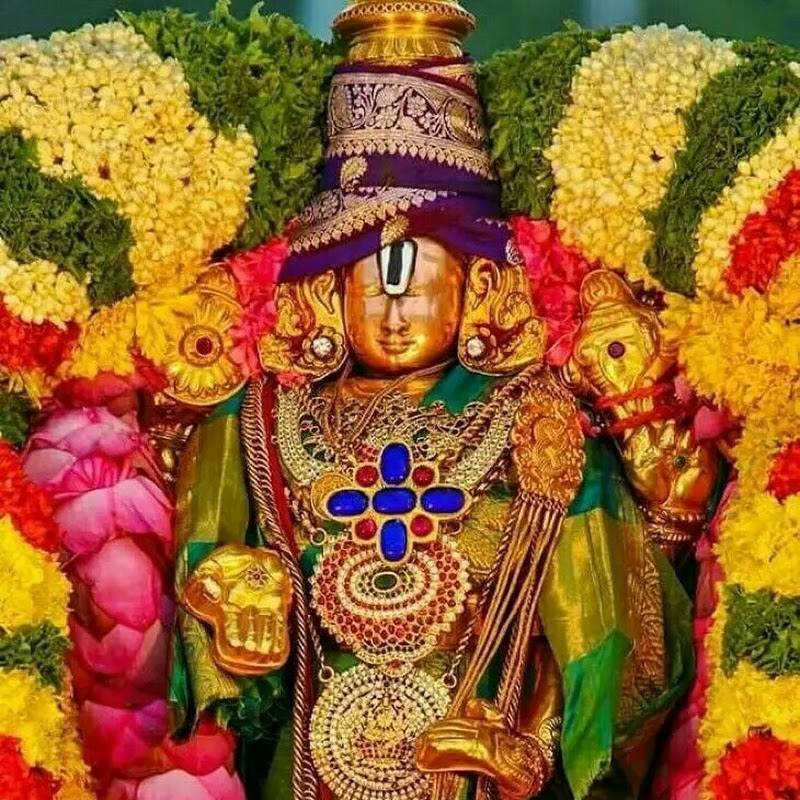 MEENA TIRUMALA UPDATES