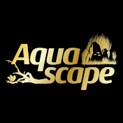 Aquascape _rs