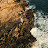 @danielrehmel Avatar
