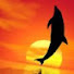 B_qtpMrUZ-U-channel-avatar-Flesh ray