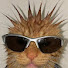 KmqUB9Rzi-M-channel-avatar-Muzrk