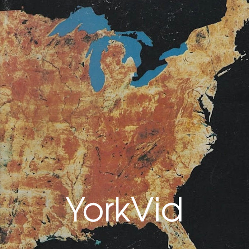 YorkVid