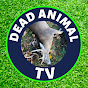 Dead Animal TV logo