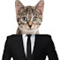 1NiaF45iqNU-channel-avatar-Fork Cat